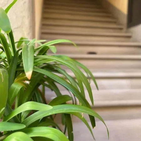 Il Canto De' Cenci * Arezzo