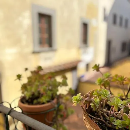 Il Canto De' Cenci Appartamento